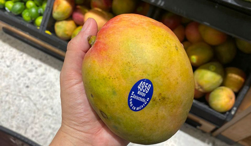 mangos3