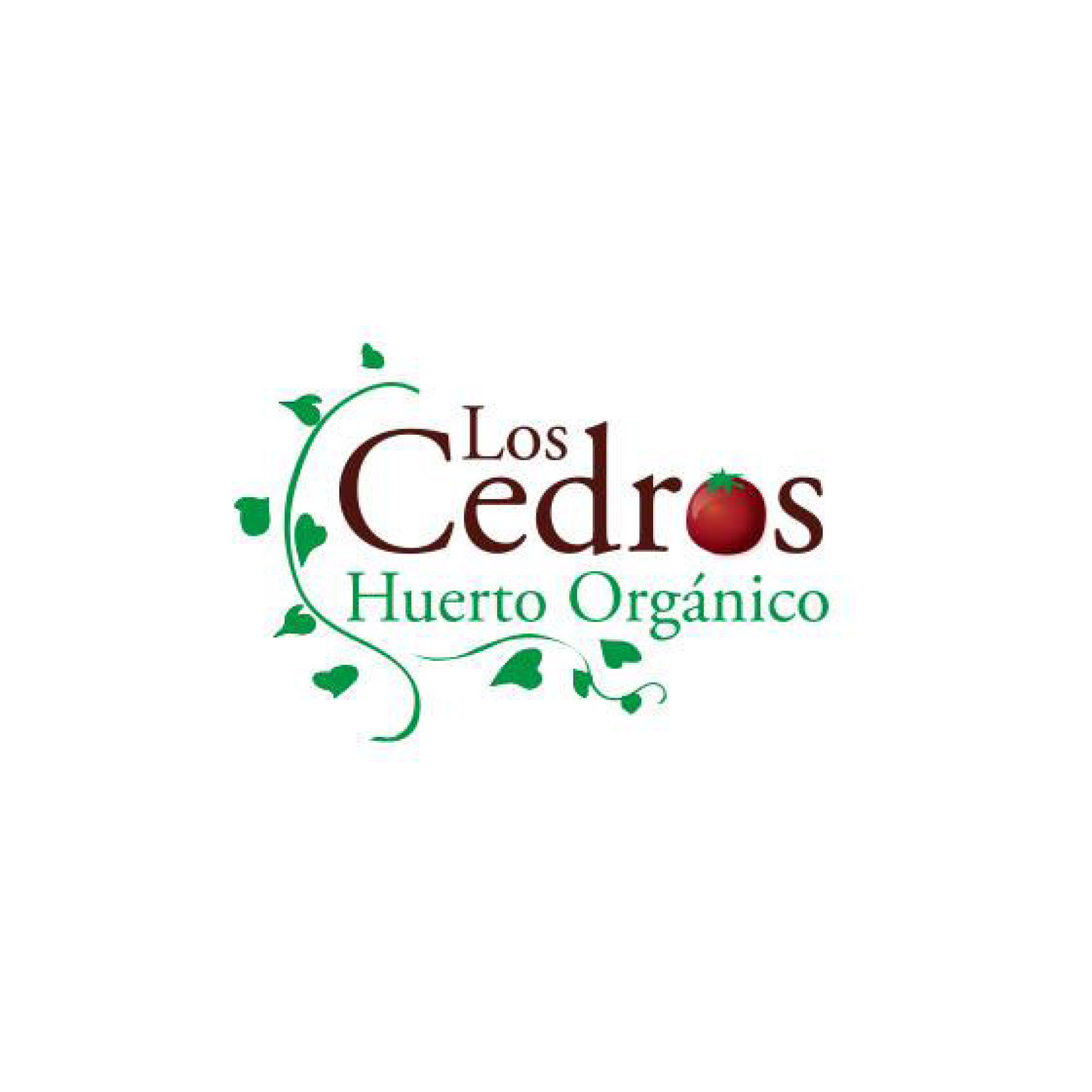 huerto-los-cedros-1 Huerto Orgánico Los Cedros