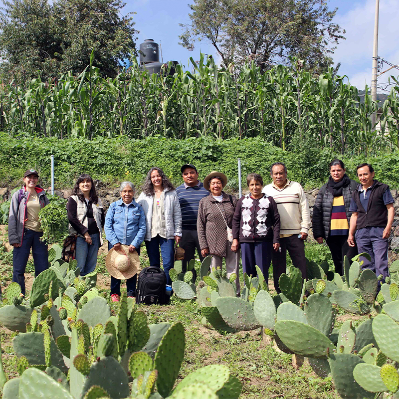 Grupo-Tlacaetl-y-equipo-CONABIO_Foto-Daniela-Esteva_CONABIO